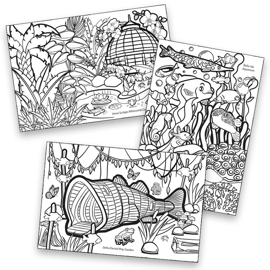 Coloing Postcards (6x9) - The Coloring Museum