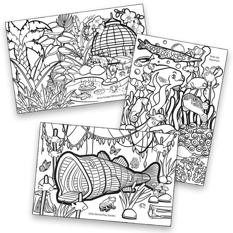 Coloing Postcards (6x9) - The Coloring Museum